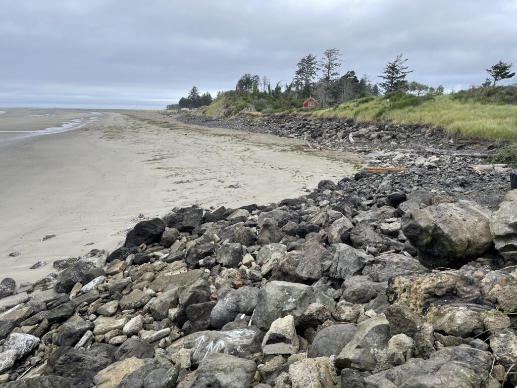 a rocky beach with trees and a hill in the background (MyCoast AI)