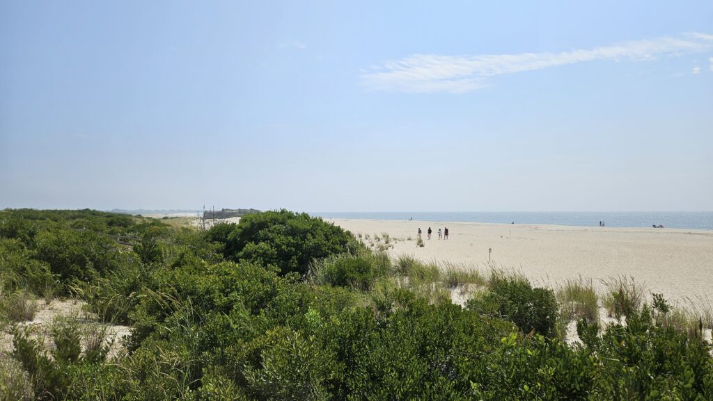 a group of people walking on a beach (MyCoast AI)