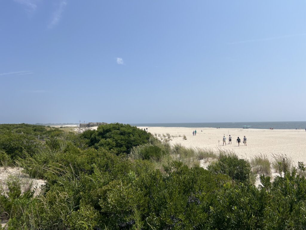 a group of people walking on a beach (MyCoast AI)
