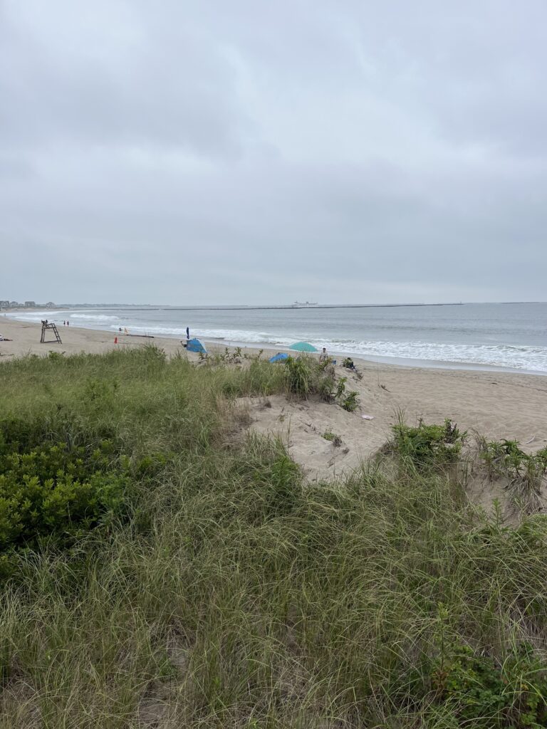a beach with a few people (MyCoast AI)