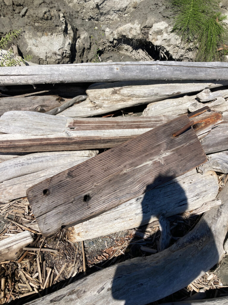 a person's shadow on a wooden plank (MyCoast AI)