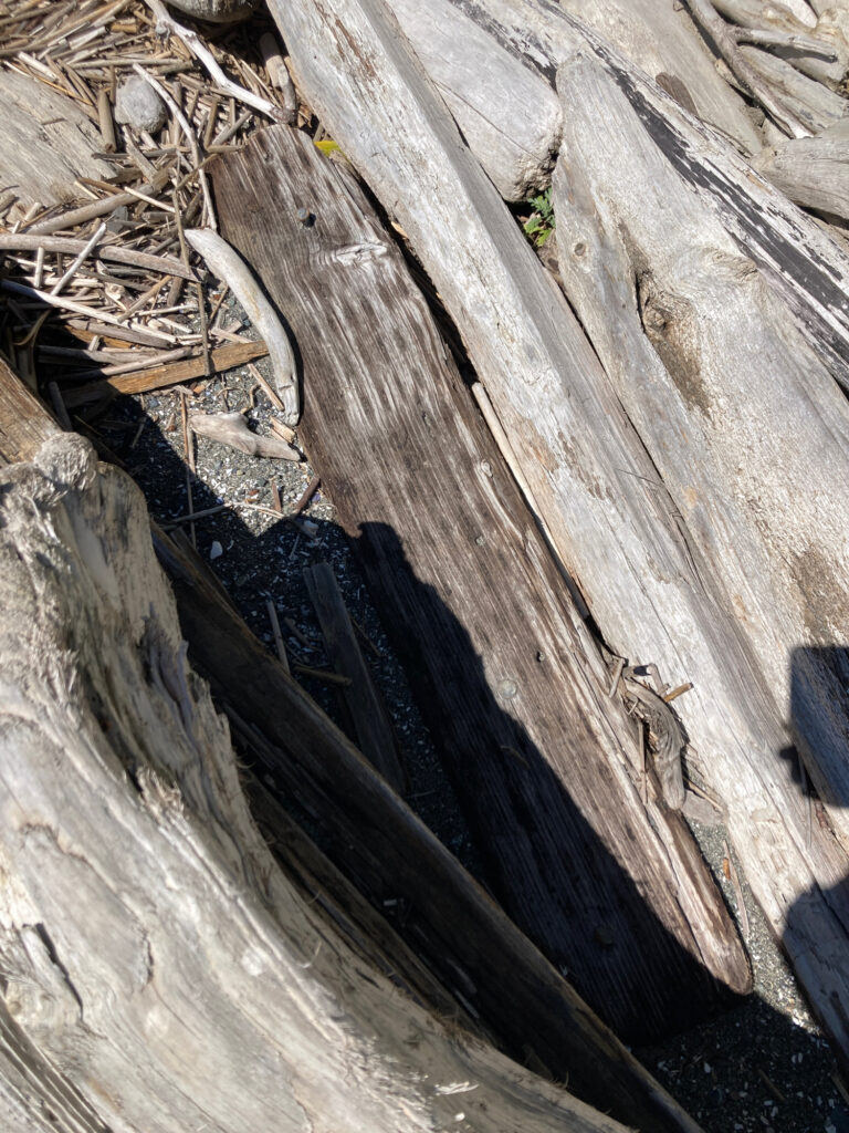 a close-up of a wooden plank (MyCoast AI)