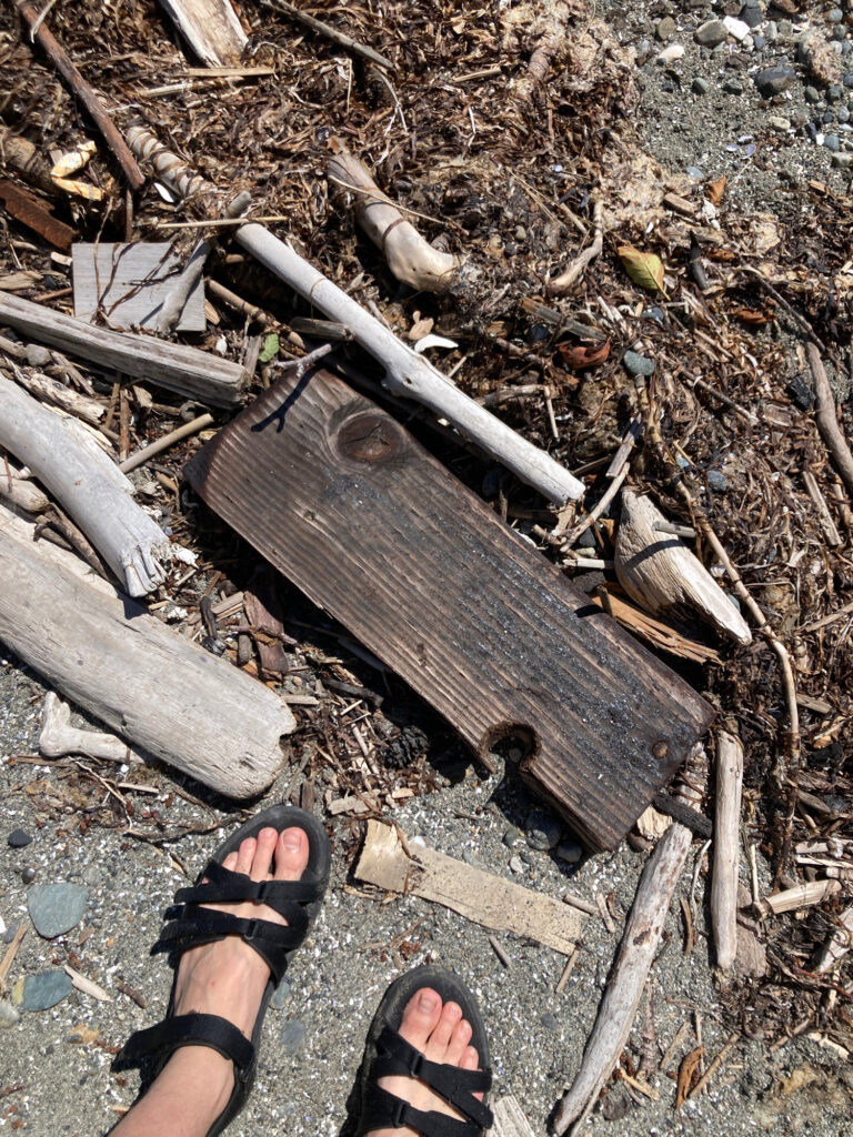 a person's feet on a pile of wood (MyCoast AI)