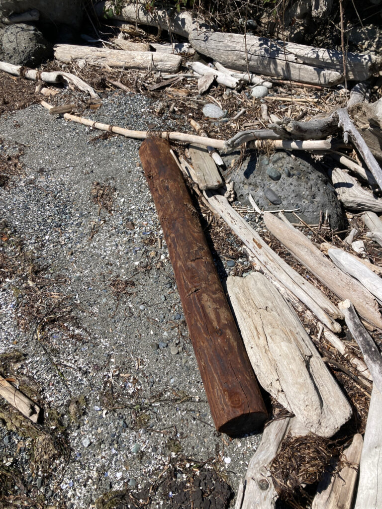 a pile of wood (MyCoast AI)
