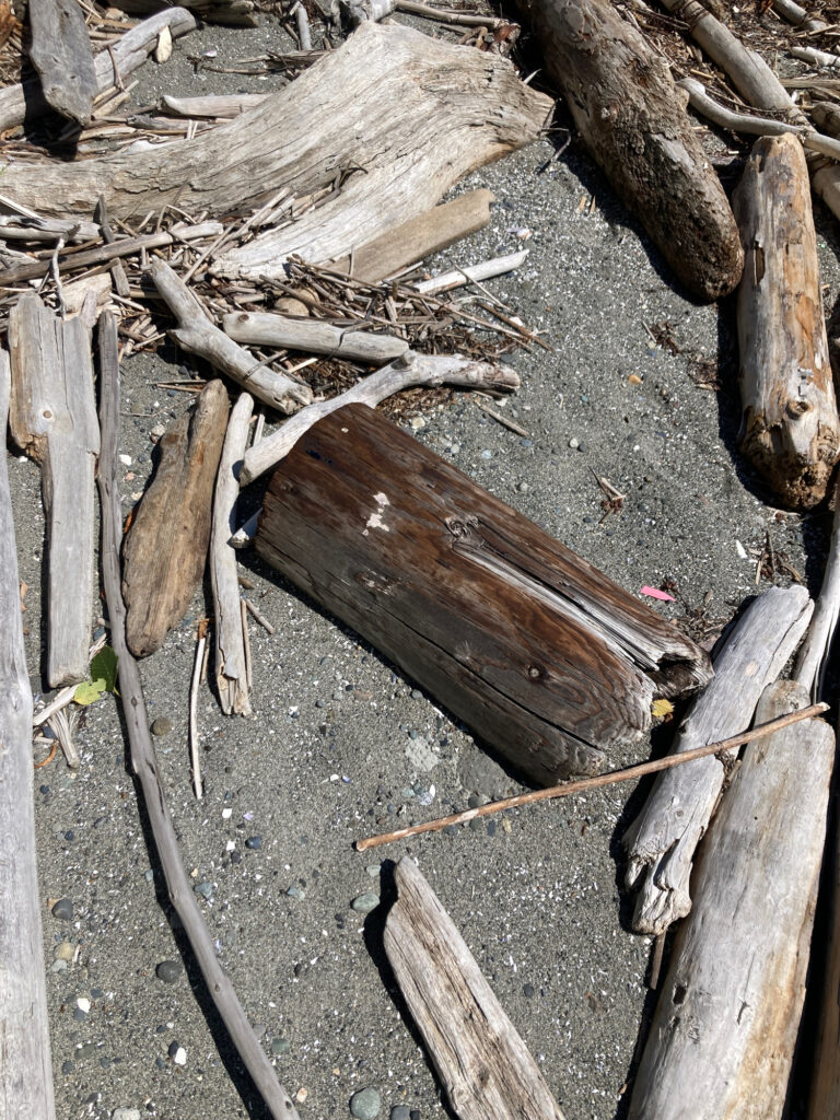 a pile of wood (MyCoast AI)