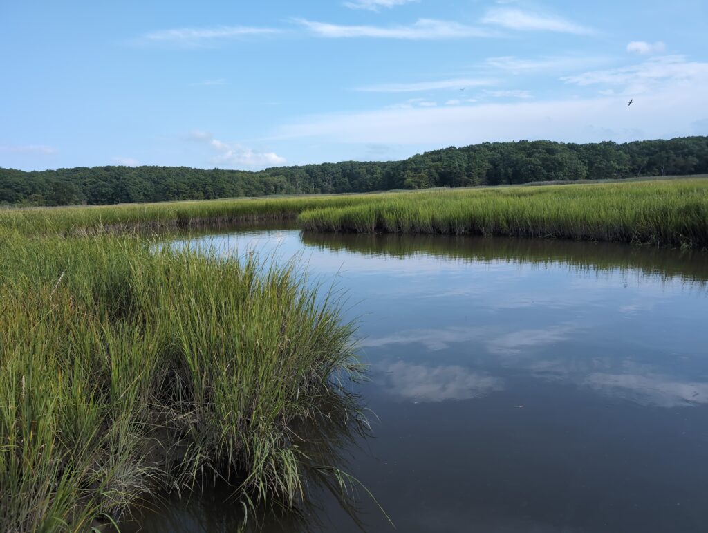 a body of water with grass and trees around it (MyCoast AI)