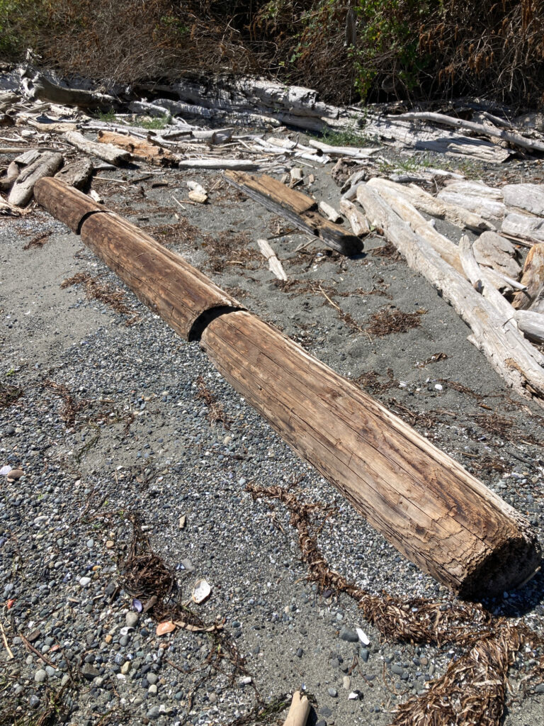 a wooden bench on a rocky path (MyCoast AI)