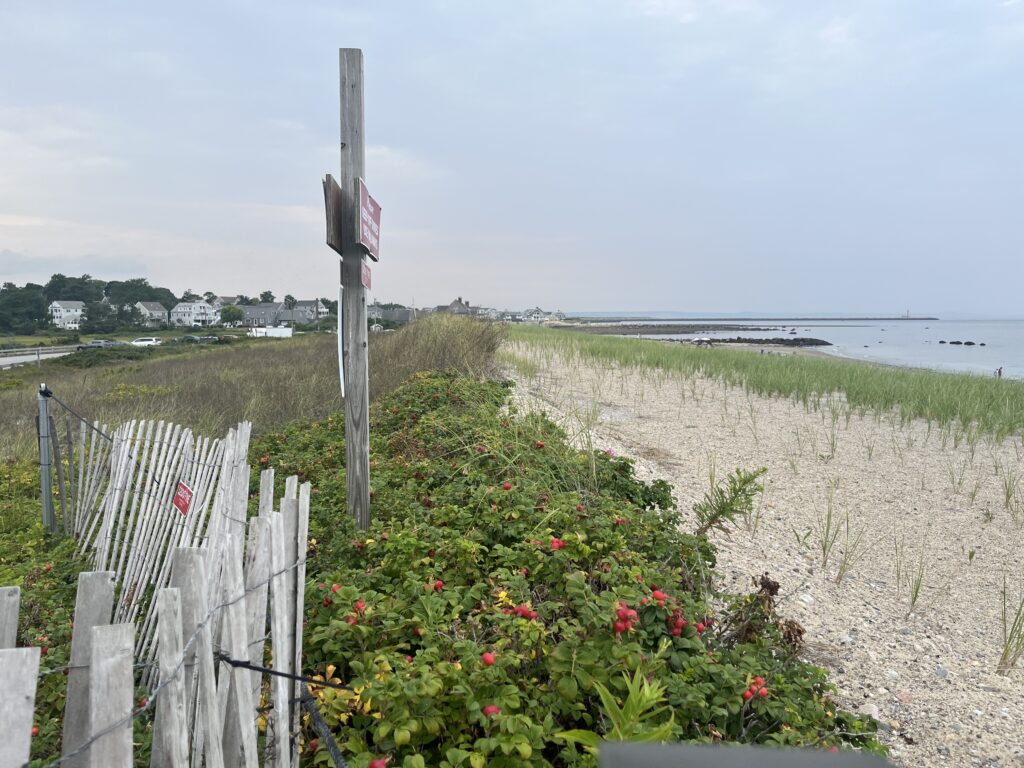 a fence in a field (MyCoast AI)