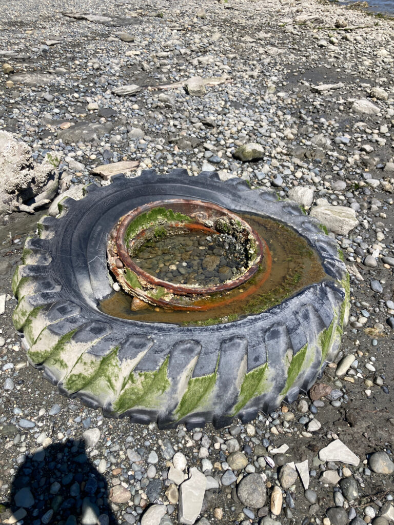a round black object on a rocky surface (MyCoast AI)