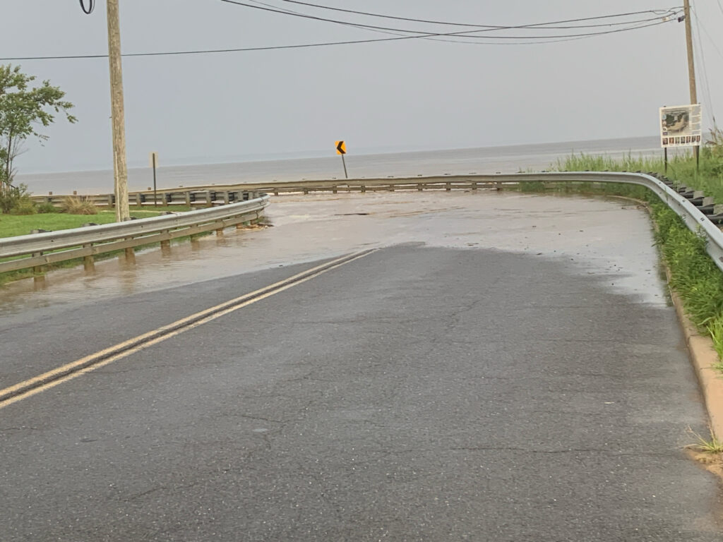 a road with a bridge over it (MyCoast AI)