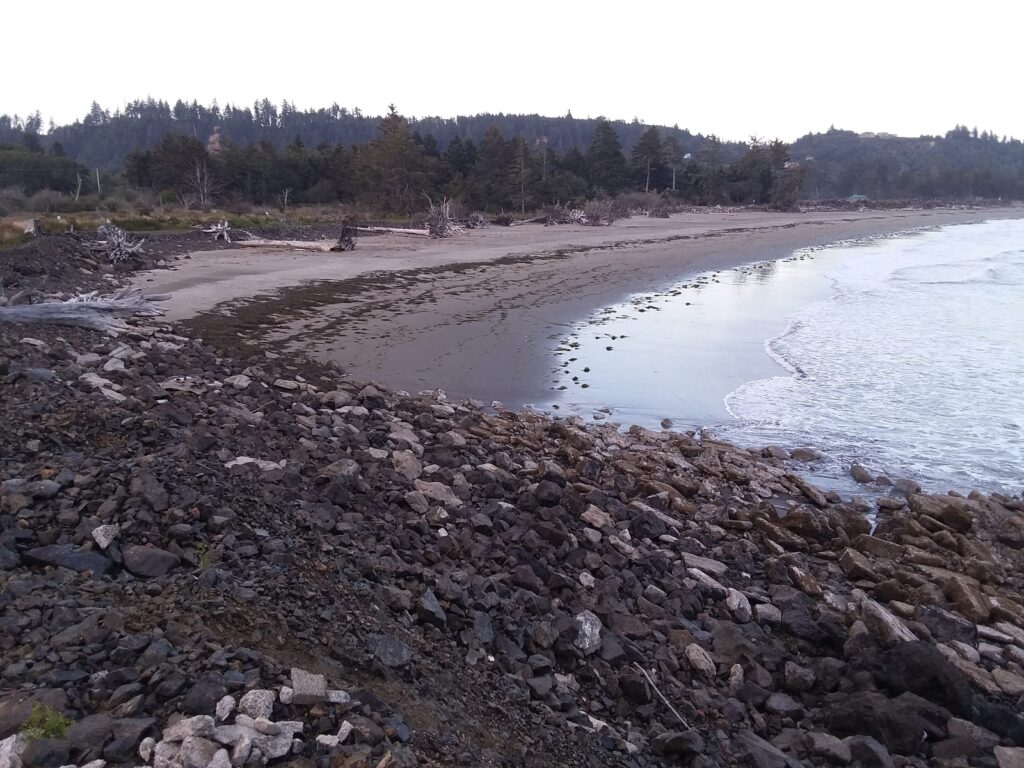 a rocky beach with trees in the background (MyCoast AI)