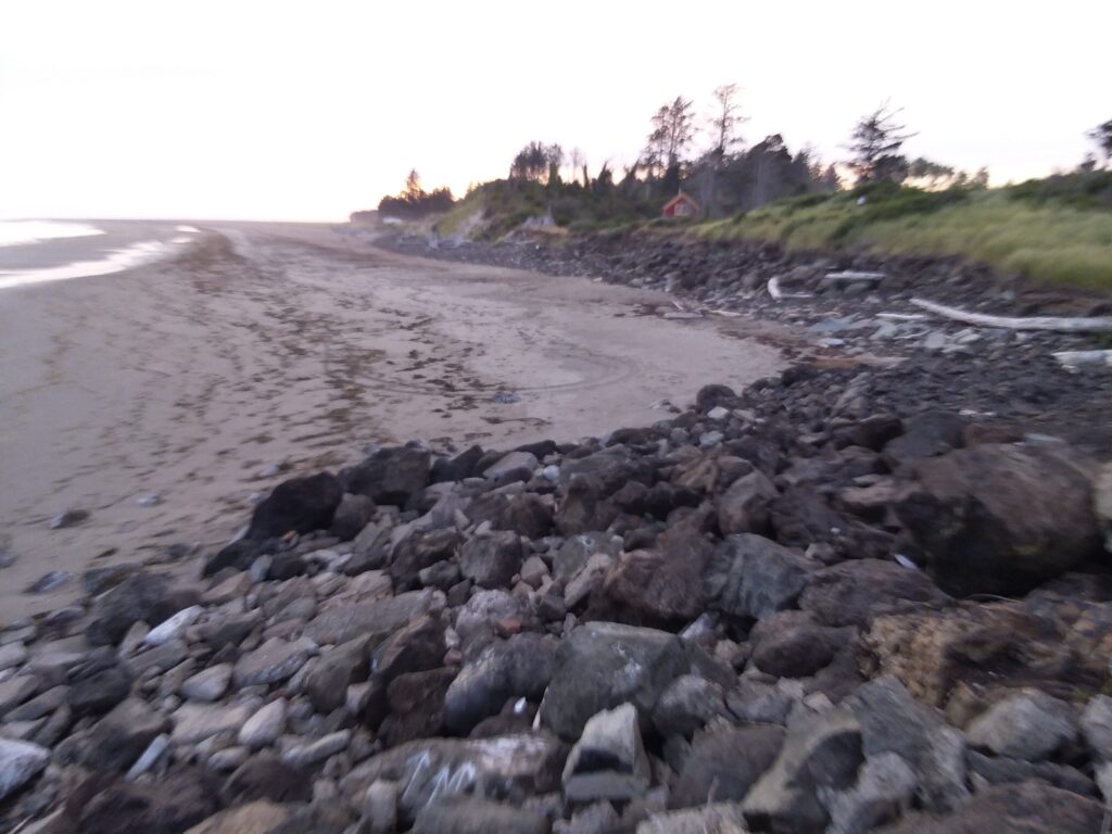 a rocky beach with a hill in the background (MyCoast AI)