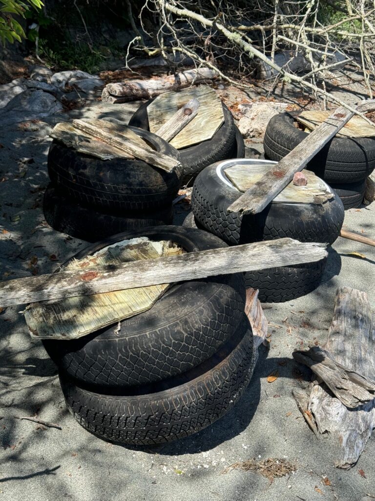 a pile of cut down trees (MyCoast AI)