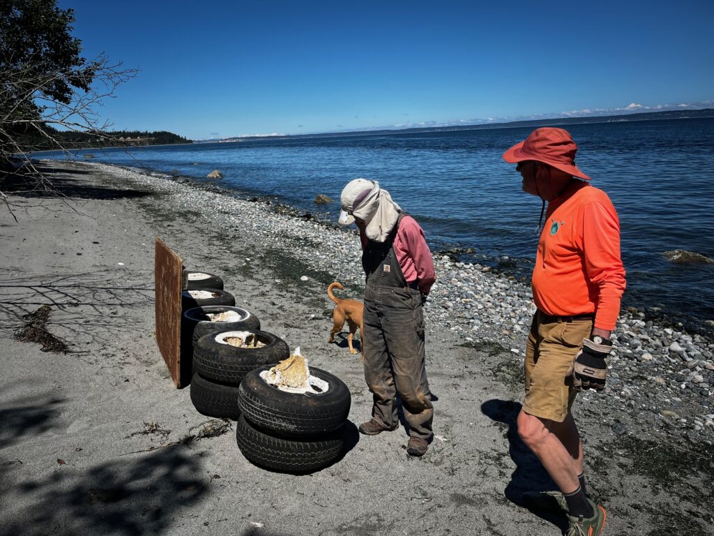 a group of people standing on a rocky beach with tires and a dog (MyCoast AI)