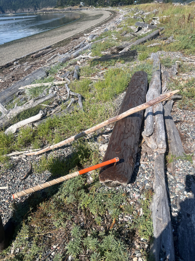 a wooden fence on a beach (MyCoast AI)