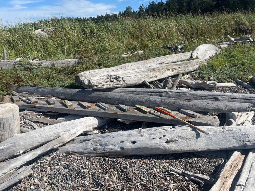a pile of wood (MyCoast AI)