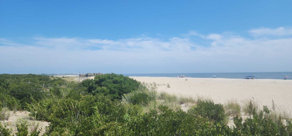 a sandy beach with bushes and trees (MyCoast AI)