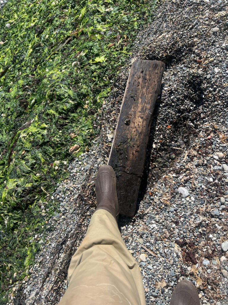 a person holding a piece of wood (MyCoast AI)