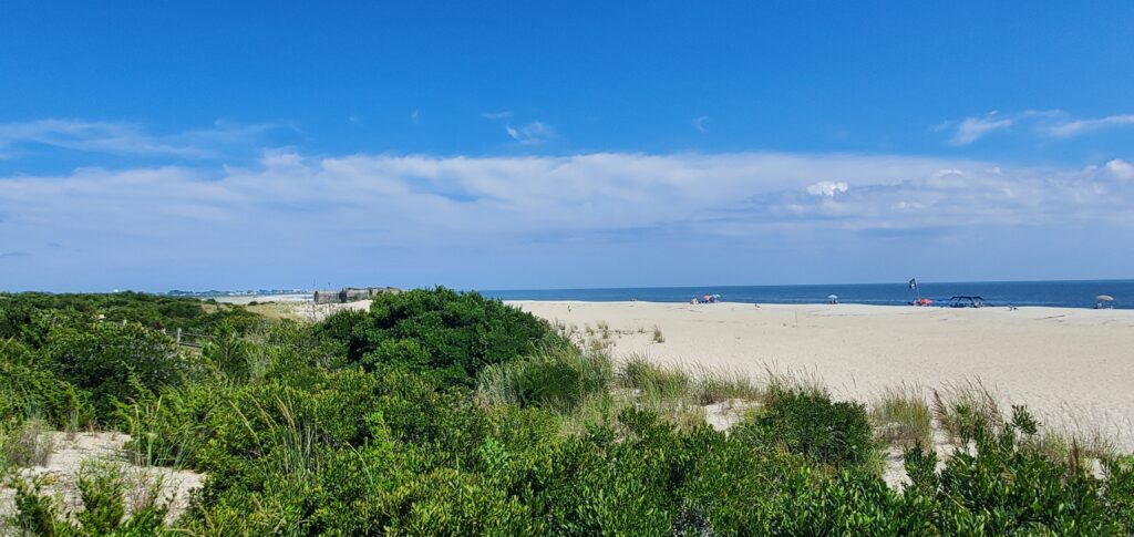 a sandy beach with bushes and trees (MyCoast AI)