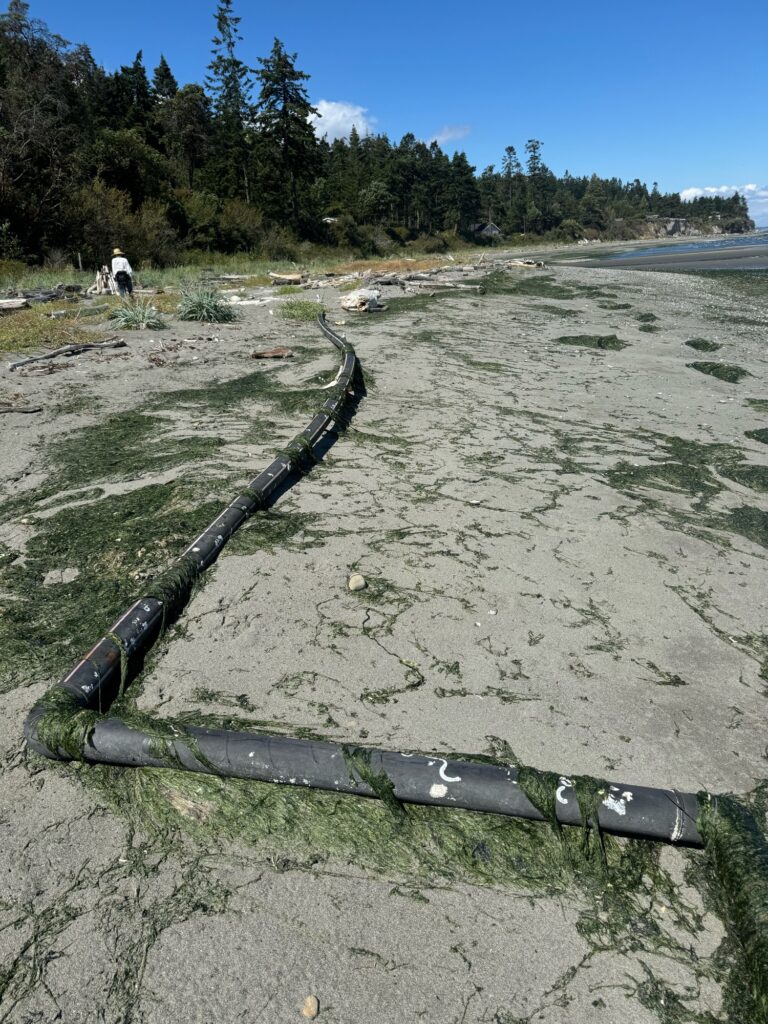 a gun on a beach (MyCoast AI)