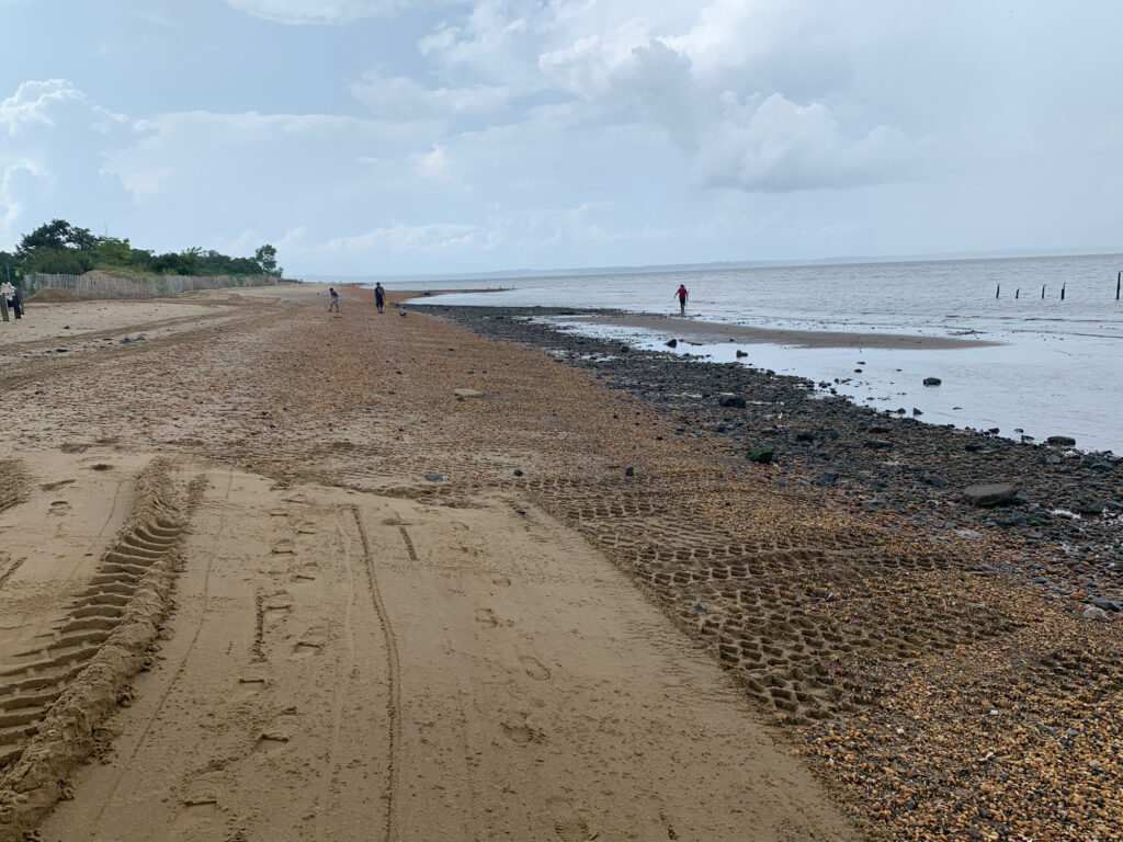 a beach with people walking on it (MyCoast AI)