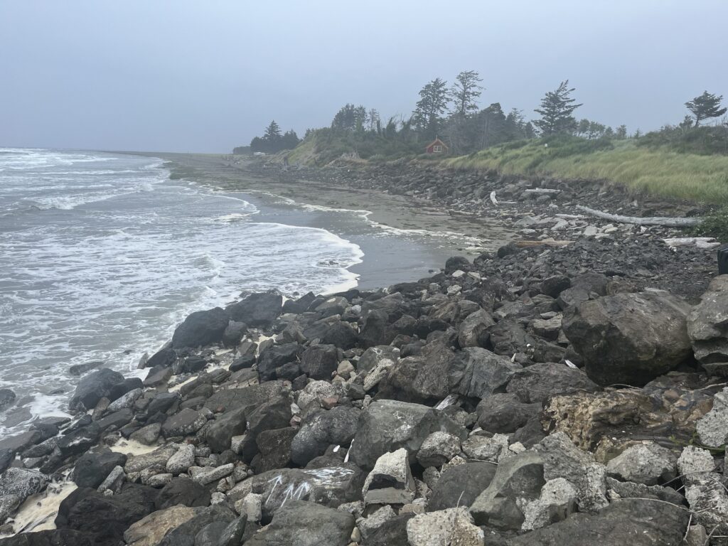 a rocky beach with trees and a hill in the background (MyCoast AI)