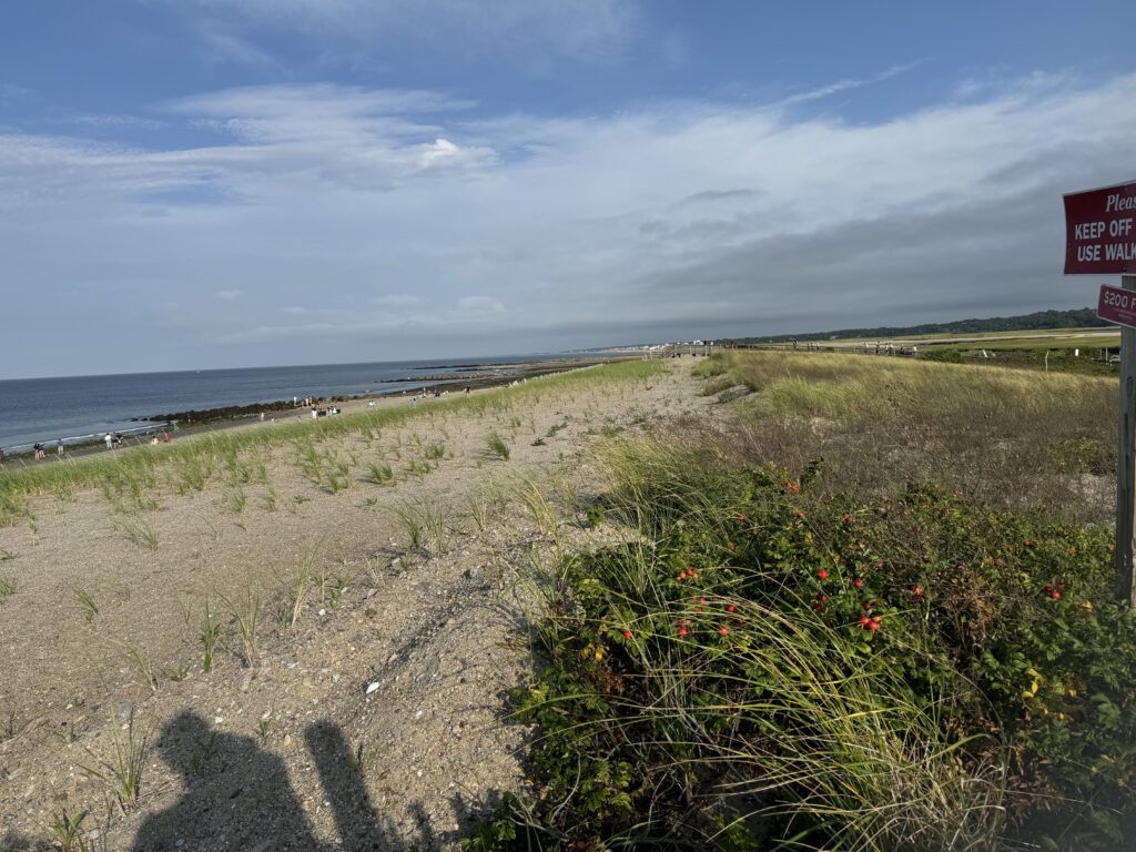 a dirt road next to a beach (MyCoast AI)