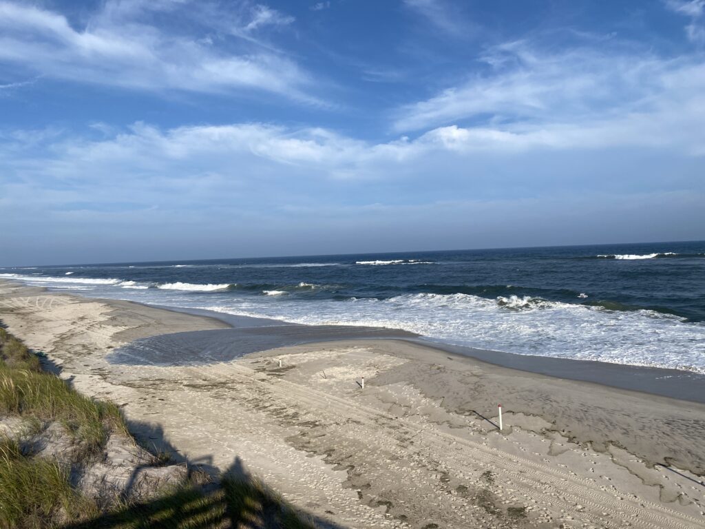 a beach with waves crashing on it (MyCoast AI)