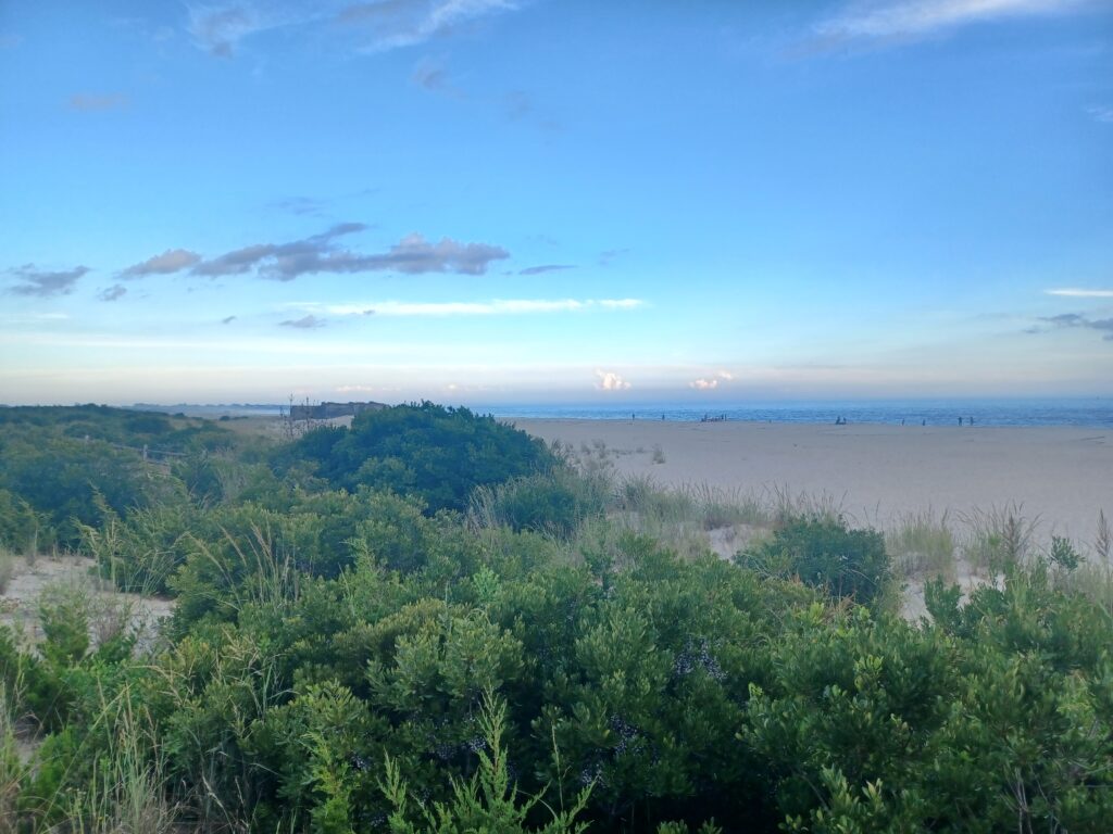 a landscape with trees and water in the background (MyCoast AI)