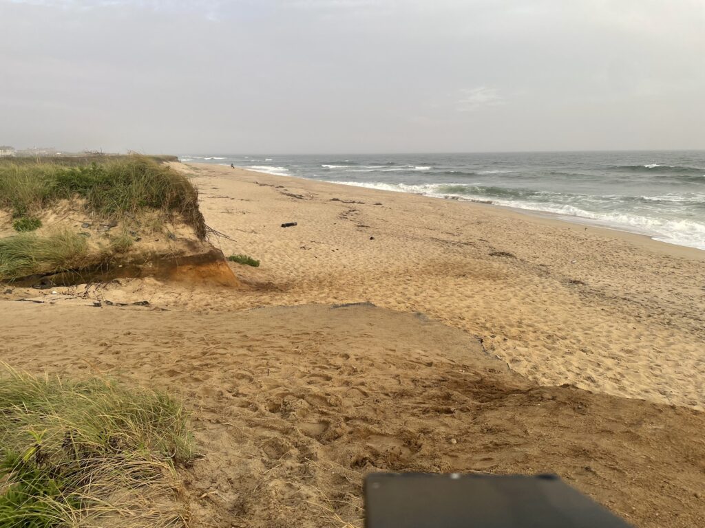 a sandy beach with waves crashing (MyCoast AI)