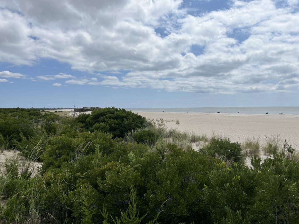 a beach with bushes and trees (MyCoast AI)