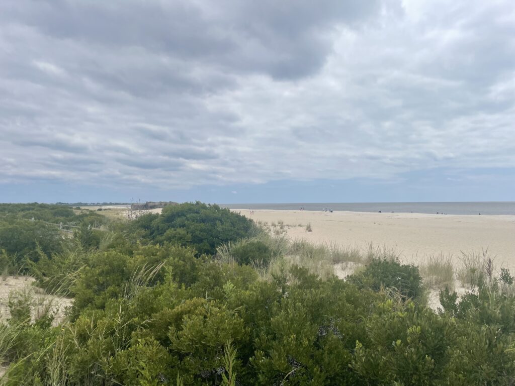 a landscape with trees and bushes (MyCoast AI)