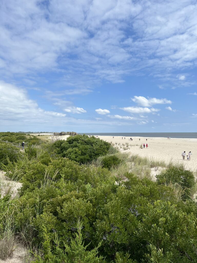 a group of people walking on a beach (MyCoast AI)