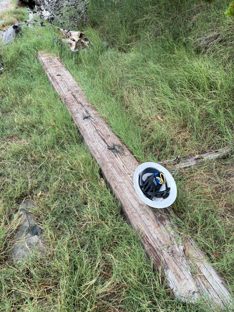 a bucket on a log (MyCoast AI)