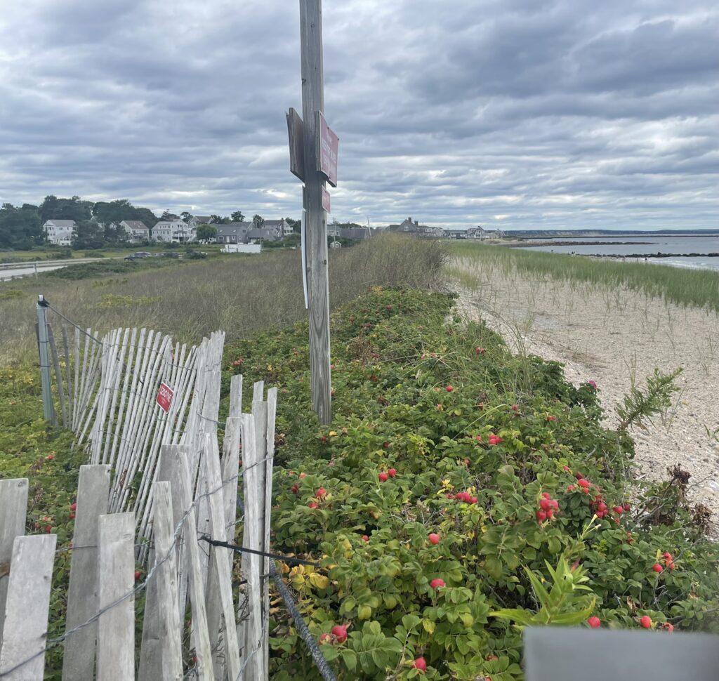 a garden with a fence and a sign (MyCoast AI)