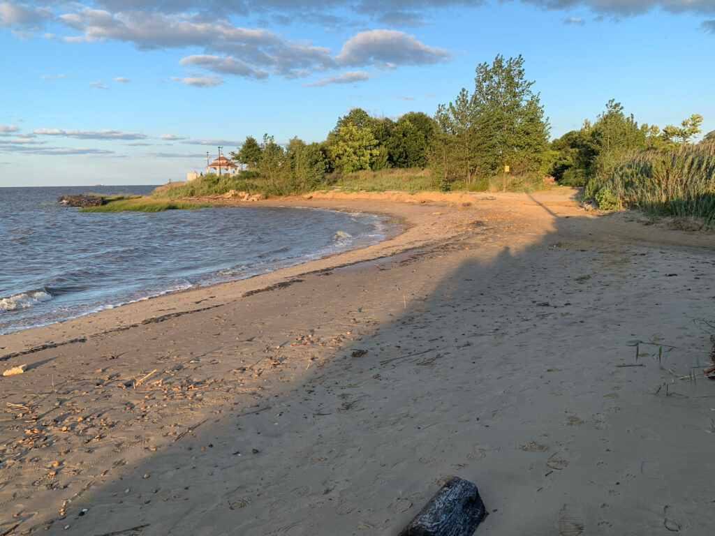 a sandy beach with trees and water (MyCoast AI)
