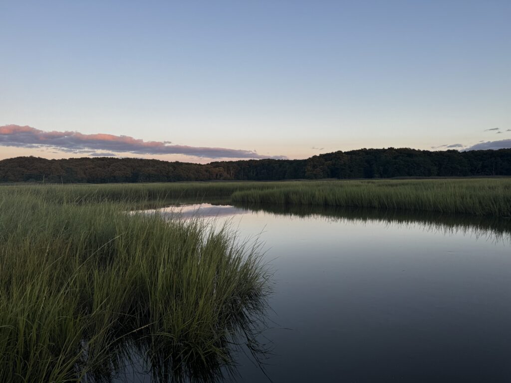 a body of water with grass and trees around it (MyCoast AI)