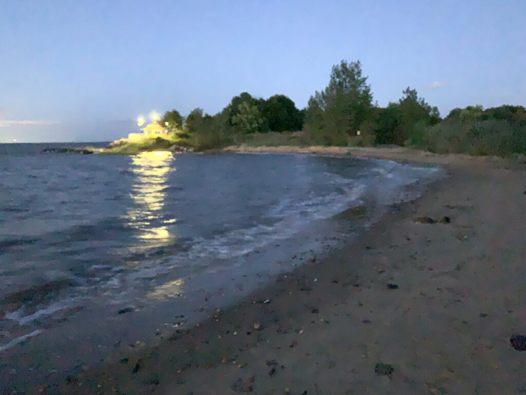 a beach with trees and water (MyCoast AI)