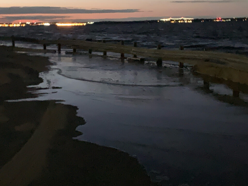 a beach with a body of water (MyCoast AI)