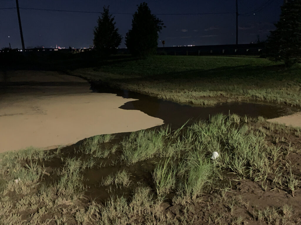 a small pond with grass and trees (MyCoast AI)