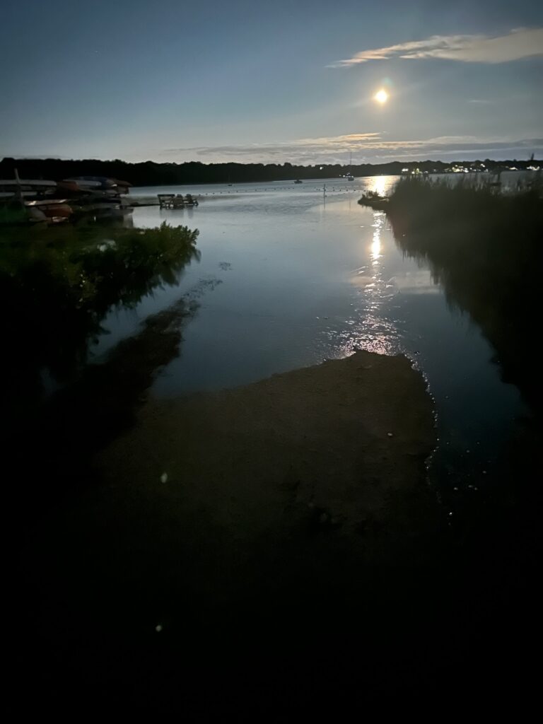 a body of water with a dock and buildings in the background (MyCoast AI)
