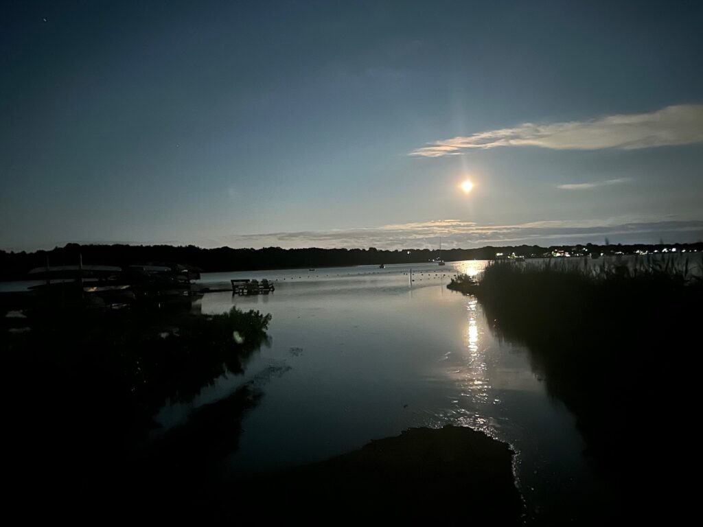 a body of water with a dock and a sunset (MyCoast AI)