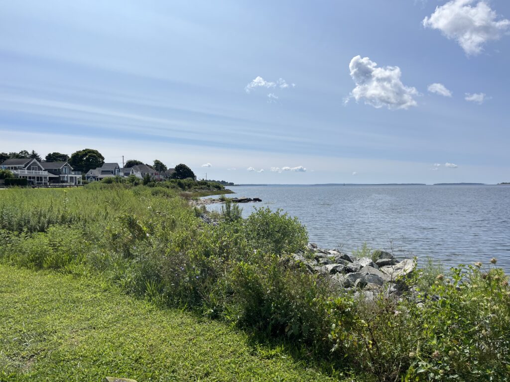 a grassy area next to a body of water (MyCoast AI)