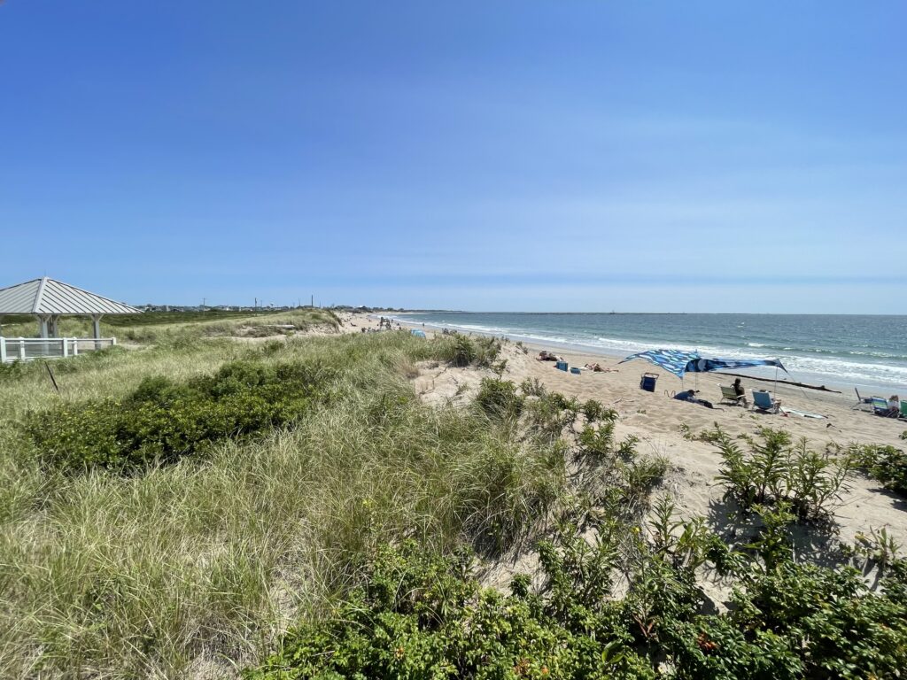 a beach with people on it (MyCoast AI)