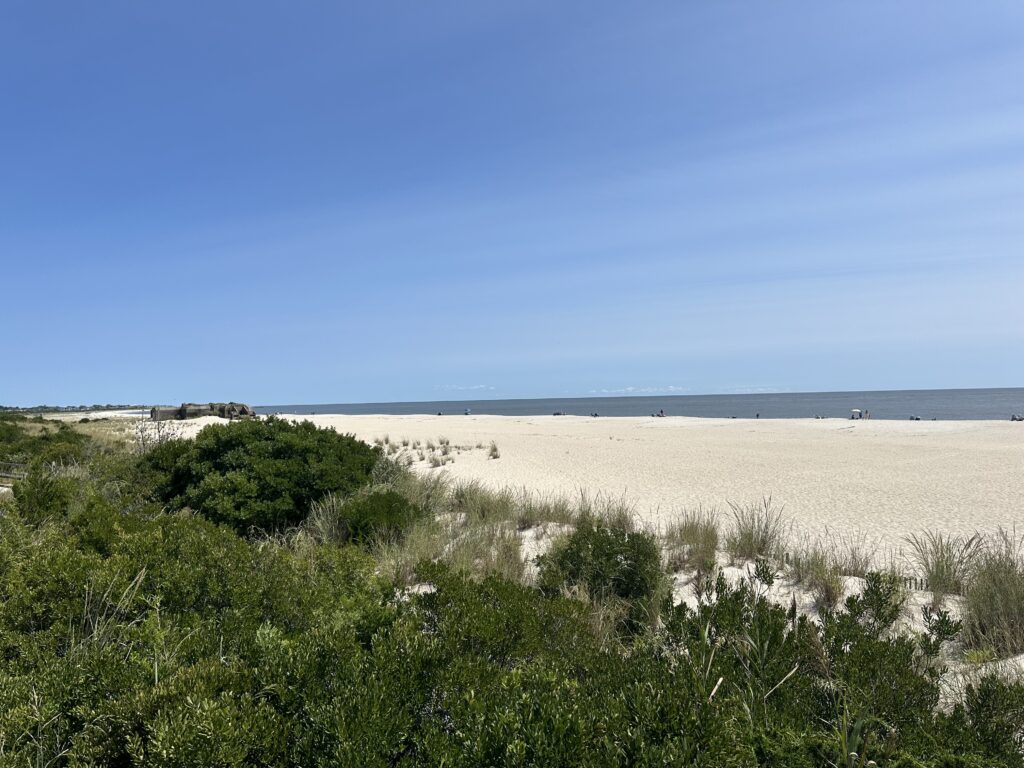 a sandy beach with bushes and trees (MyCoast AI)
