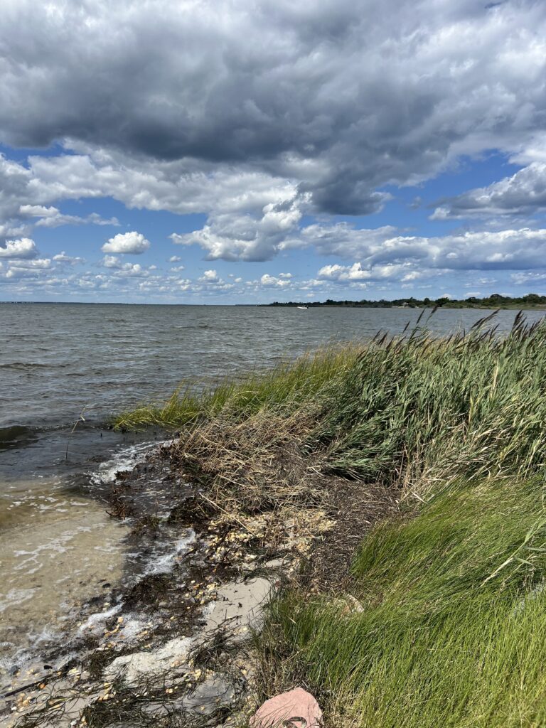 a body of water with grass and rocks on the side (MyCoast AI)