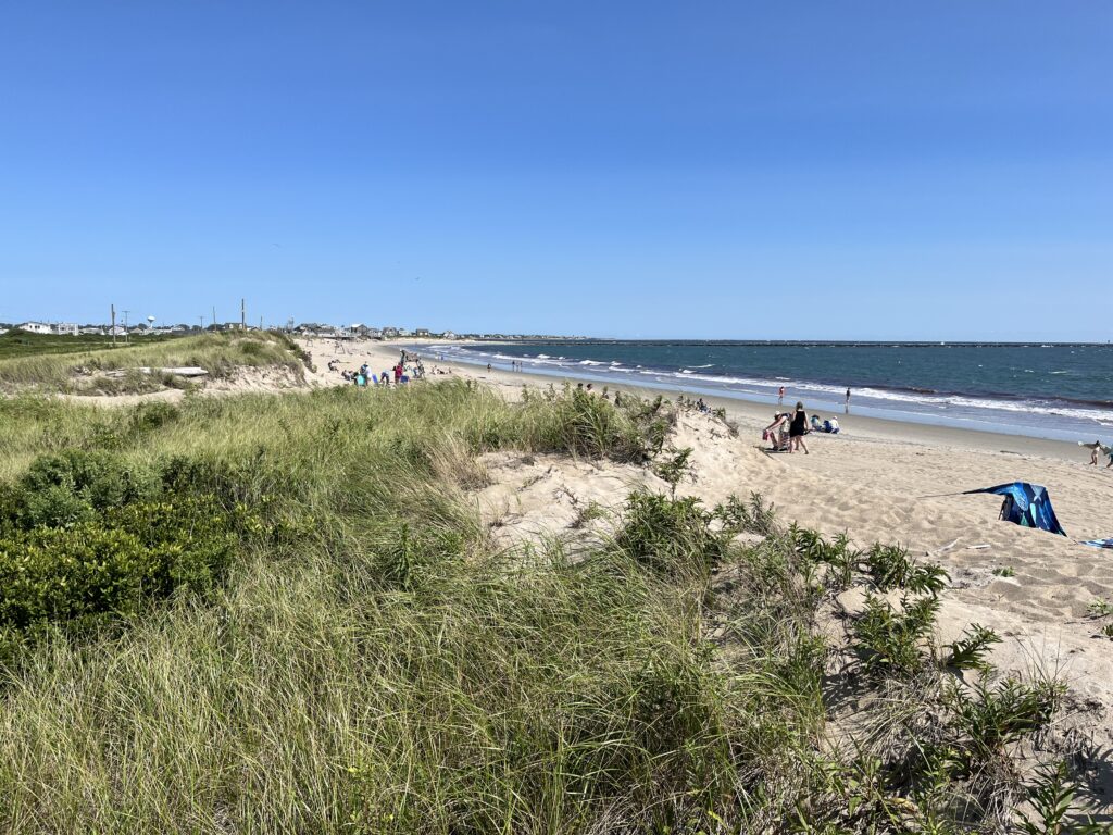 a group of people on a beach (MyCoast AI)