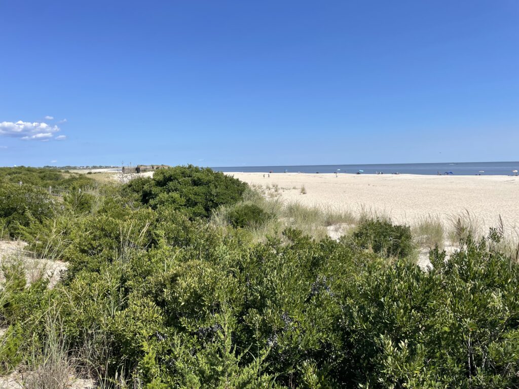 a landscape with trees and bushes (MyCoast AI)