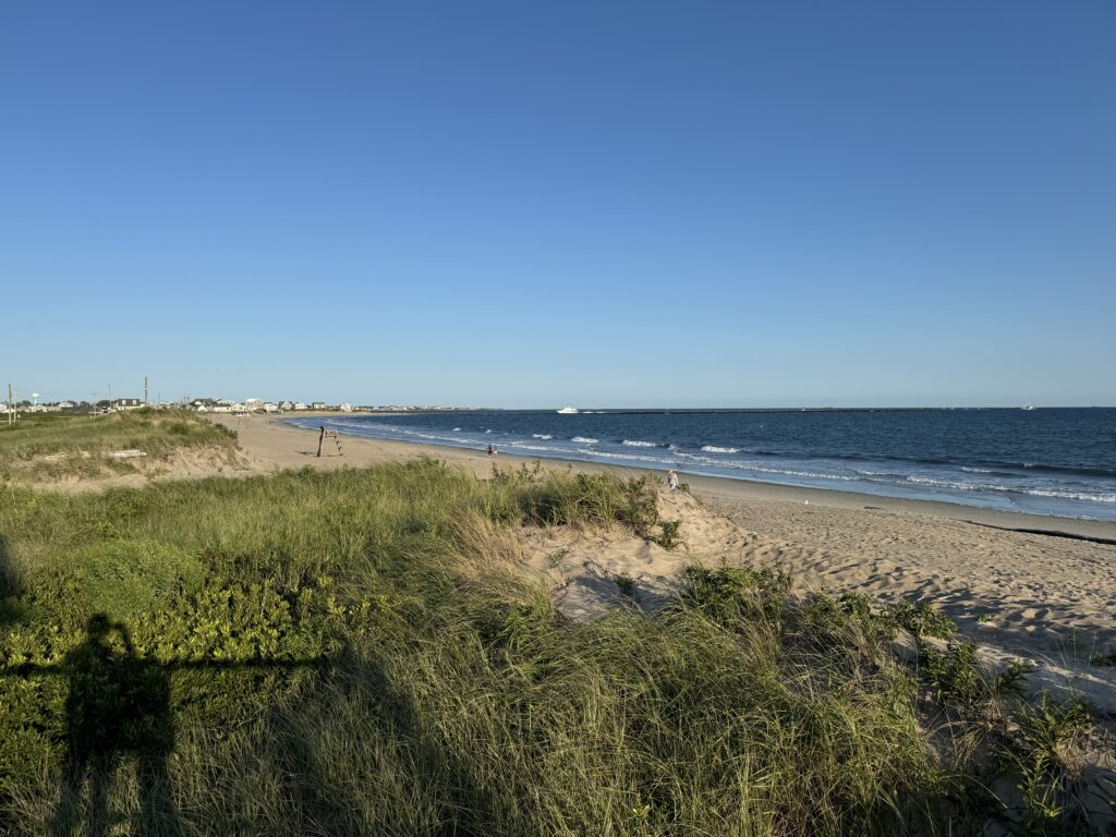 a beach with grass and sand (MyCoast AI)
