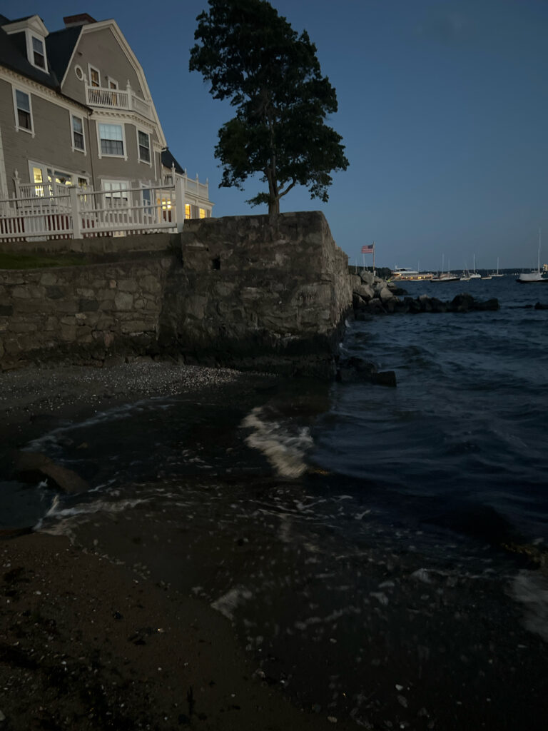 a tree next to a body of water (MyCoast AI)
